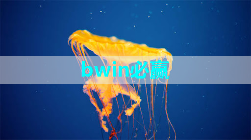 bwin必赢，透视智慧商显：解读未来商业展示趋势